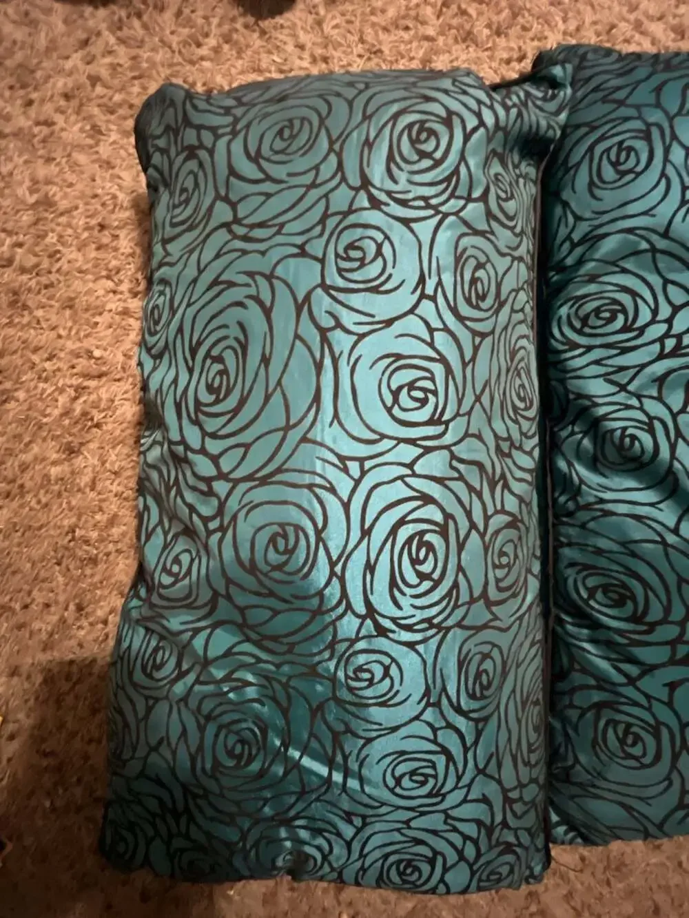 Set of 2 Decorative Teal and Black Rose Print Throw Pillows